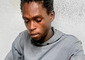 Man Pleads Guilty After Accidentally Shooting Himself With Homemade Gun