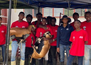 Youth farmers showcase poultry, livestock skills