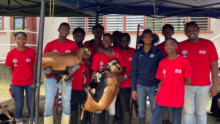 Youth farmers showcase poultry, livestock skills