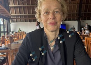 EU assesses security risks linked to Vanuatu citizenship scheme | News