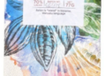 AELAN makes history for Vanuatu with two Great Taste Awards | Business News