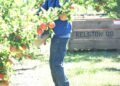 Vanuatu considers raising minimum seasonal work age to 25 | News