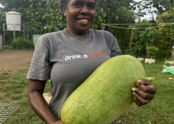 Malekula mother targets VT1M from watermelon harvest