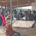 Kava shortage leaves Port Vila bars short as Santo farmers pull out