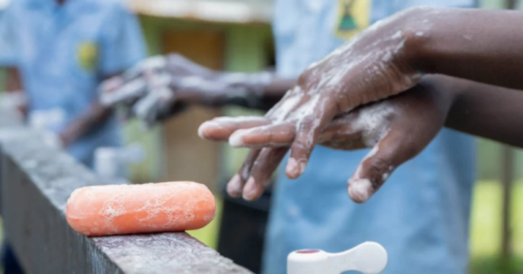 Watery Diarrhoea Outbreak on Tanna