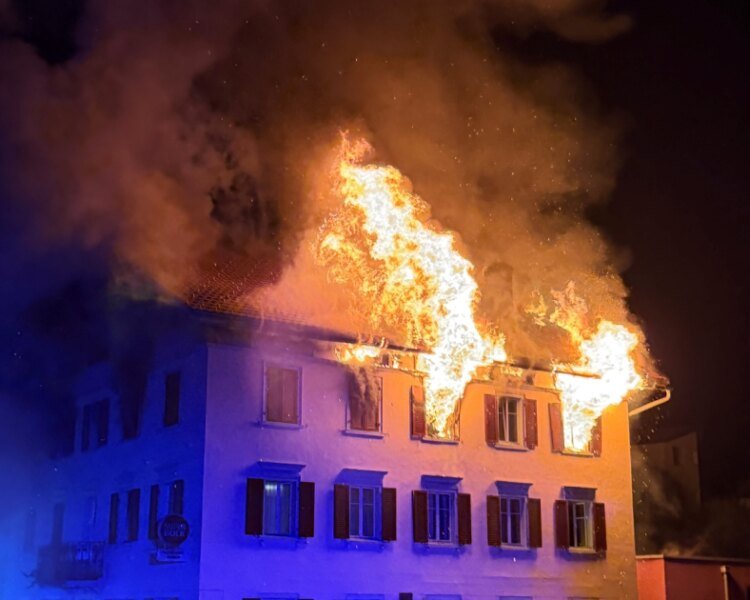 Person remanded in custody after four die in Swiss house fire
