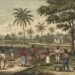 Before Emancipation: The Merikins who won their freedom