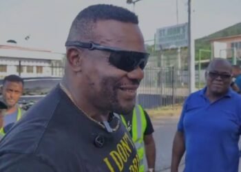 Use prison labour to maintain public spaces, says Alexander