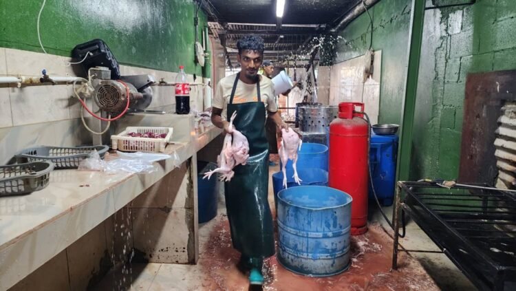 Suppliers struggling due to poultry shortfall