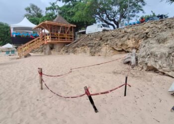Turtle nest at Store Bay worries stakeholders ahead of today’s Great Race