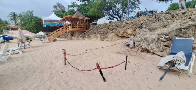 Turtle nest at Store Bay worries stakeholders ahead of today’s Great Race