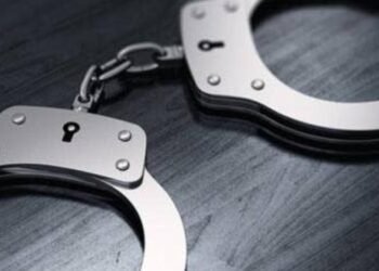 Two Jamaicans among several arrested by ICE over the weekend | News