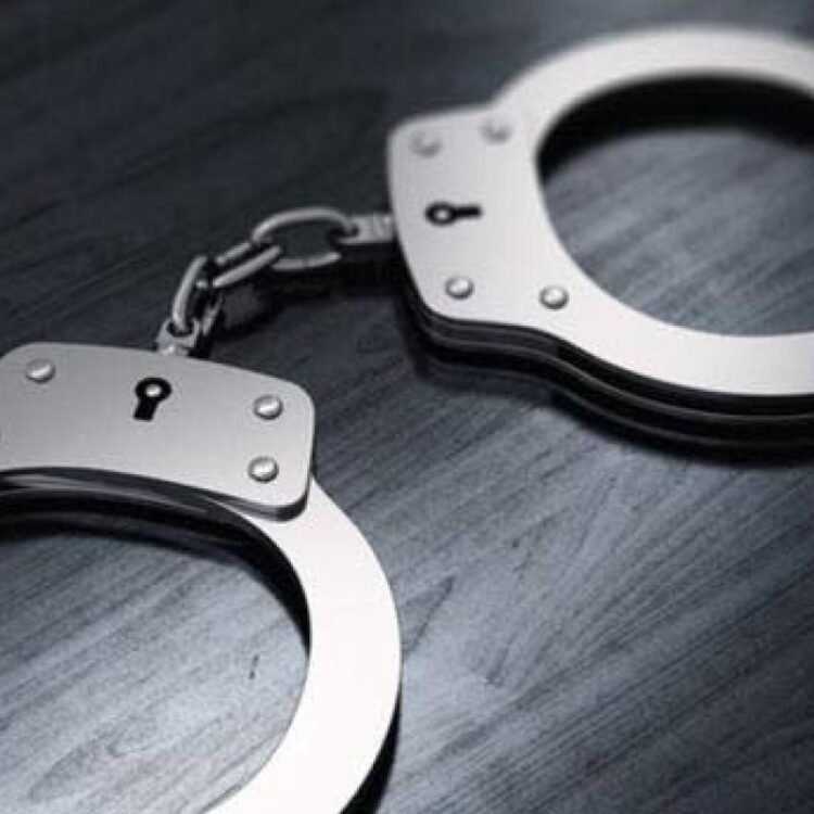 Two Jamaicans among several arrested by ICE over the weekend | News