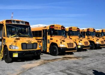 Mark Wignall | Big success in rural school bus system | In Focus