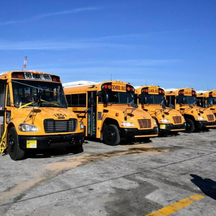 Mark Wignall | Big success in rural school bus system | In Focus