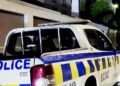 Addressing the crime conundrum | Commentary