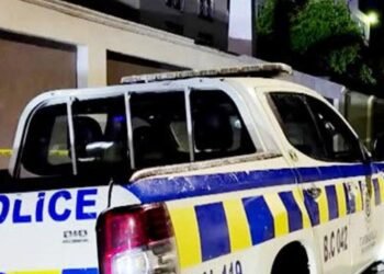 Addressing the crime conundrum | Commentary