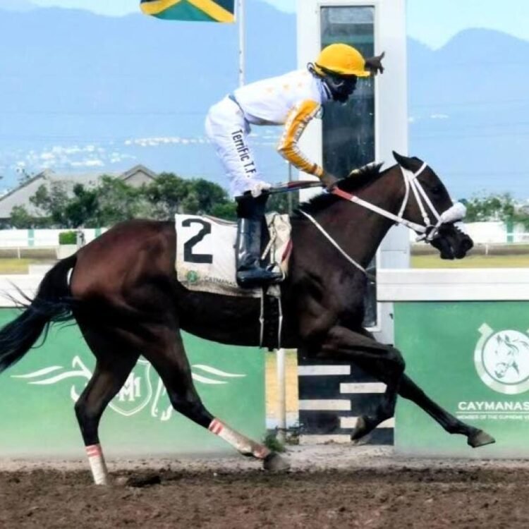 Dream Catcher cements place as champion three-year-old filly | Sports