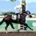 Dream Catcher cements place as champion three-year-old filly | Sports