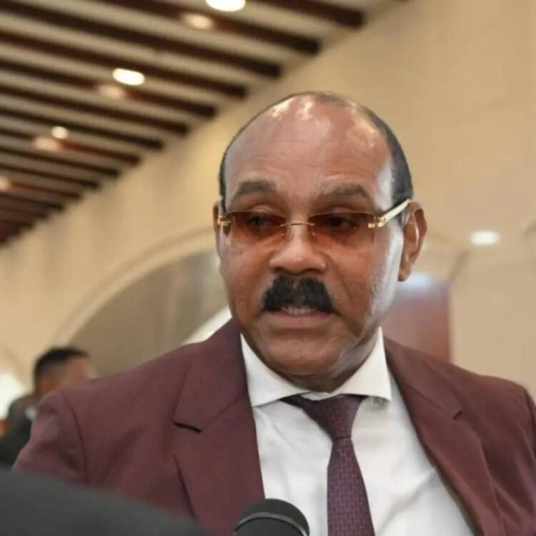 Antigua and Barbuda seeks US review of visa restrictions and bond programme | World News