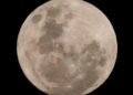 Discarded SpaceX rocket on high-speed collision course with moon | World News