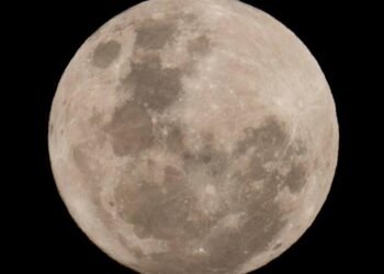 Discarded SpaceX rocket on high-speed collision course with moon | World News