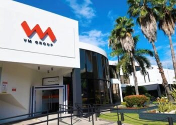 VM Group $3b in moratorium affect profit | Business