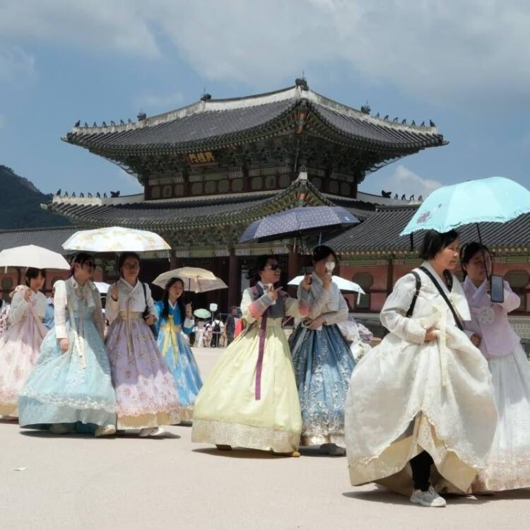 Heatwave impacts people, animals in Japan and Korean Peninsula | World News