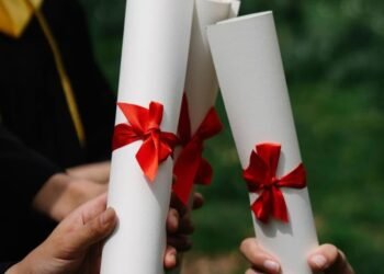 Sophia McIntosh | Micro-credentials: A test of our readiness for change | Commentary
