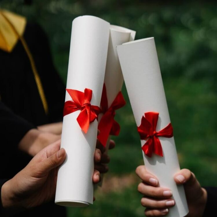 Sophia McIntosh | Micro-credentials: A test of our readiness for change | Commentary