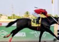 Pack Plays shows raw speed to claim None Such Sprint | Sports