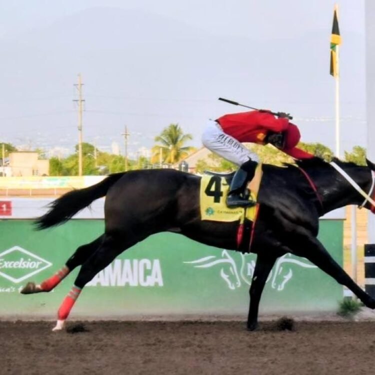 Pack Plays shows raw speed to claim None Such Sprint | Sports