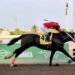 Pack Plays shows raw speed to claim None Such Sprint | Sports
