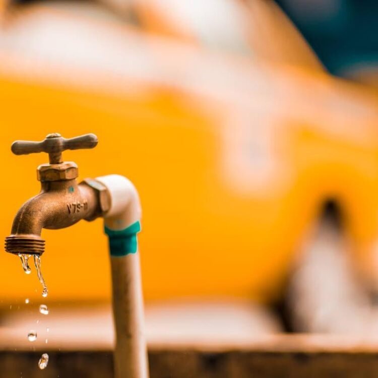Gordon Robinson | Promises, promises everywhere; not a drop more water | Commentary