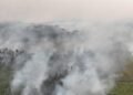 Indonesian police arrest 72 people suspected of starting forest fires | World News