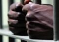 St Catherine man beaten with hammer remains unresponsive, accused attacker remanded | News