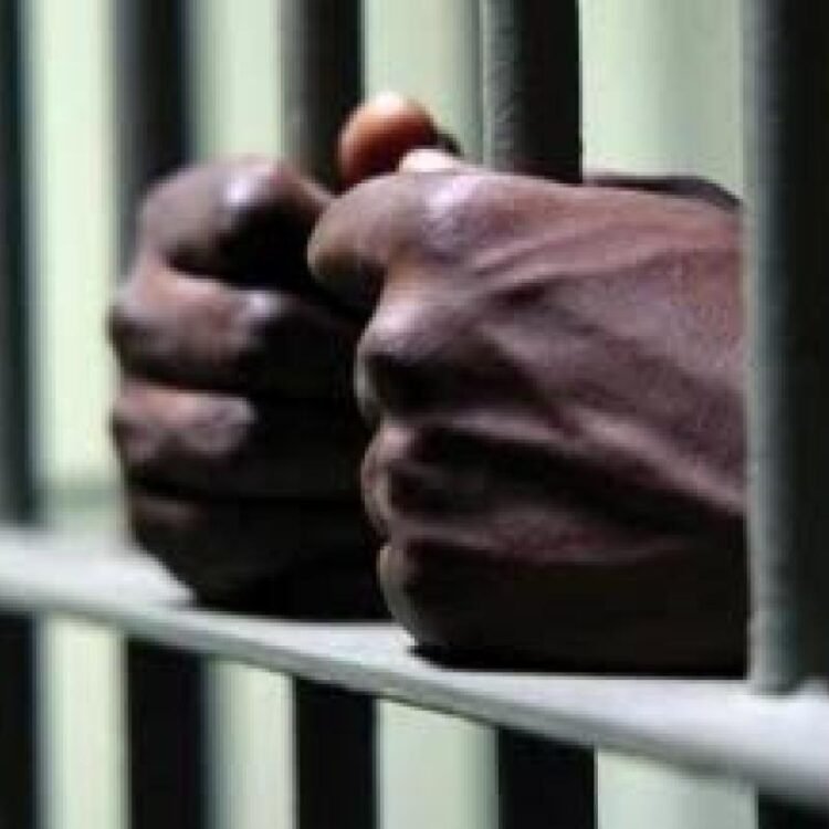 St Catherine man beaten with hammer remains unresponsive, accused attacker remanded | News