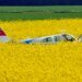 Swiss bomb disposal unit at scene of plane crash