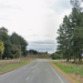 Driver dies at scene after single-vehicle crash in Geraldine