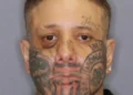 Police hunt wanted man with distinctive facial tattoos in Wellington
