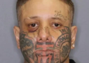 Police hunt wanted man with distinctive facial tattoos in Wellington
