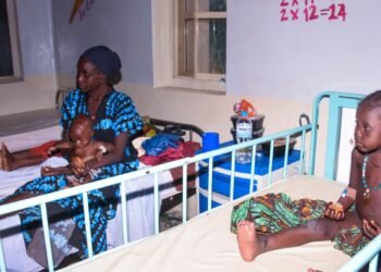 ‘We saw death and suffering’: Dozens of Nigerians freed after 6 months in captivity