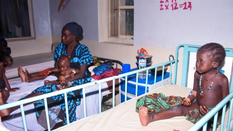 ‘We saw death and suffering’: Dozens of Nigerians freed after 6 months in captivity