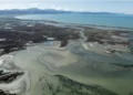 Environmental groups deliver open letter to MPs demanding mining ban on conservation land