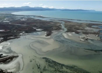 Environmental groups deliver open letter to MPs demanding mining ban on conservation land