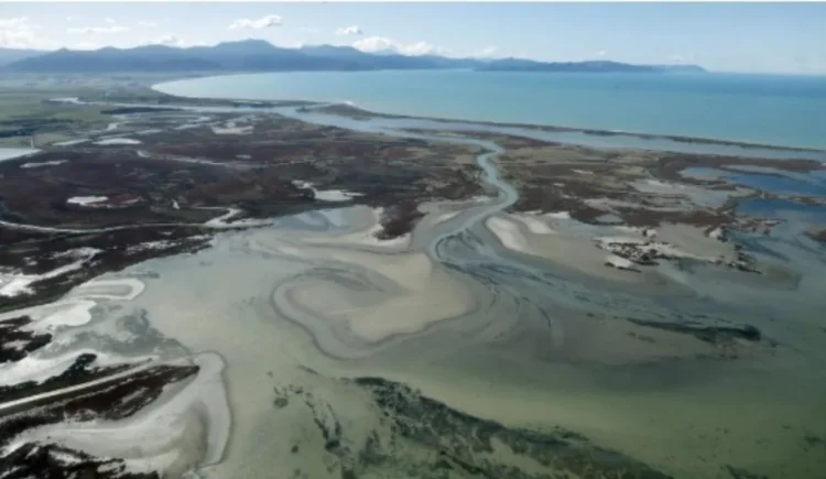Environmental groups deliver open letter to MPs demanding mining ban on conservation land