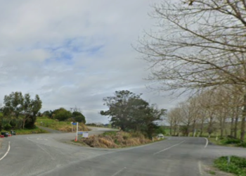 Driver dies at scene after crash at Northland intersection