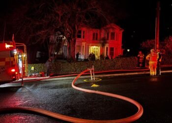 Fire breaks out at Dunedin property