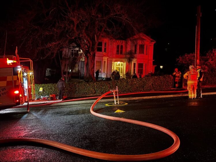 Fire breaks out at Dunedin property