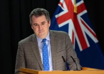 Chris Bishop was National’s last hope for November